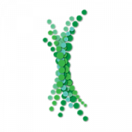 Logo Dph Biologicals