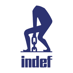 Logo Indef Manufacturing Ltd.