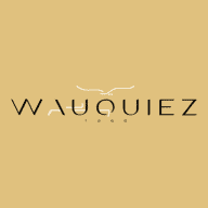 Logo Wauquiez International SAS