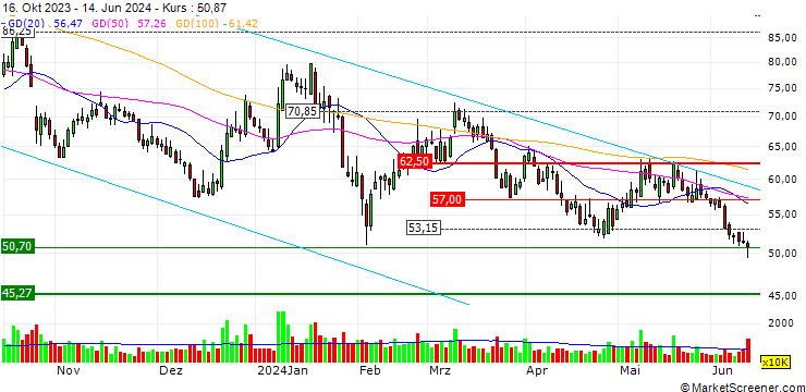 Chart Ginlong Technologies Co., Ltd.